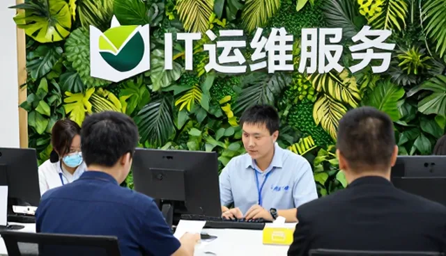 技术转让中的漏洞修复如何保障数据安全